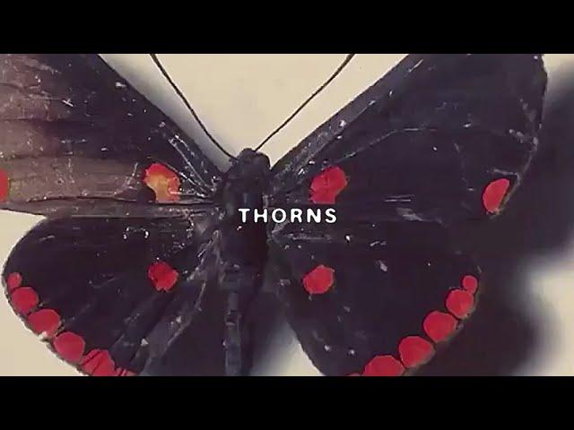 $UICIDEBOY$- THORNS (Lyric Video)