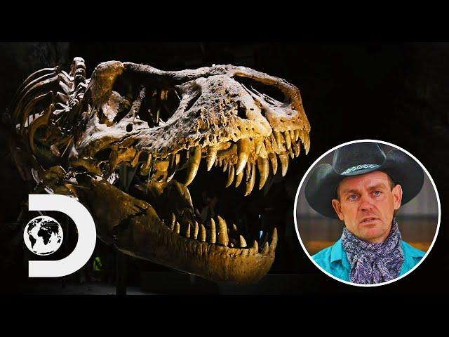 Rancher Finds T-Rex Bones That Turn Out To Be A Brand New Dinosaur Species! | Dino Hunters