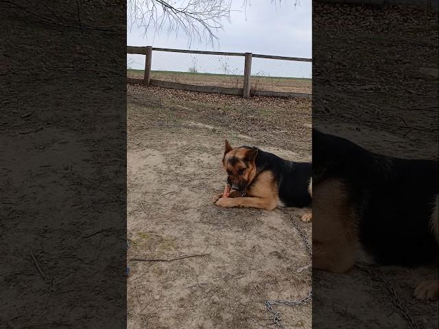 #рибалка#Джевеліна#