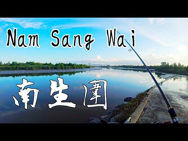 [HK Fishing] Hong Kong Lures Fishing - Nam Sang Wai 香港路亞釣魚 - 南生圍