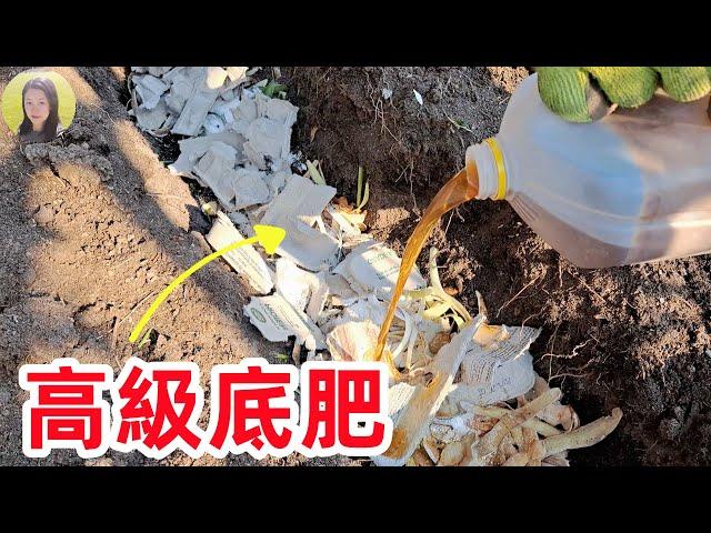 Do These Now, to Make your Vegetables BOOM Next Year 現在做這些, 讓您明年蔬菜爆棚! 咖啡渣高級底肥的神奇功效