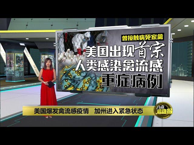 美国禽流感疫情持续扩大   加州宣布进入紧急状态 | 八点最热报 19/12/2024