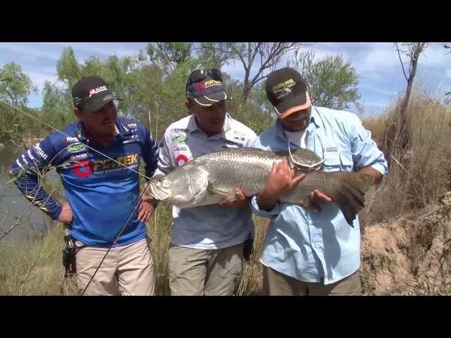 Fishing for Barramundi with Live Bait - REEL ACTION TV