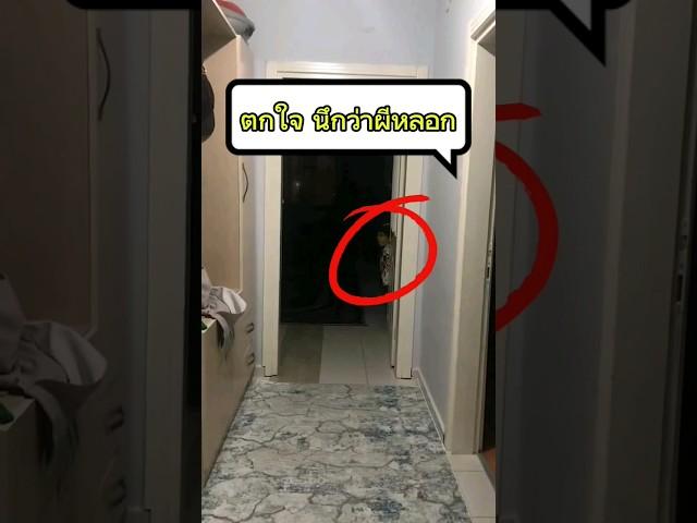 ตกใจนึกว่าผีหลอก #funny #ตลก #ghost #ผี