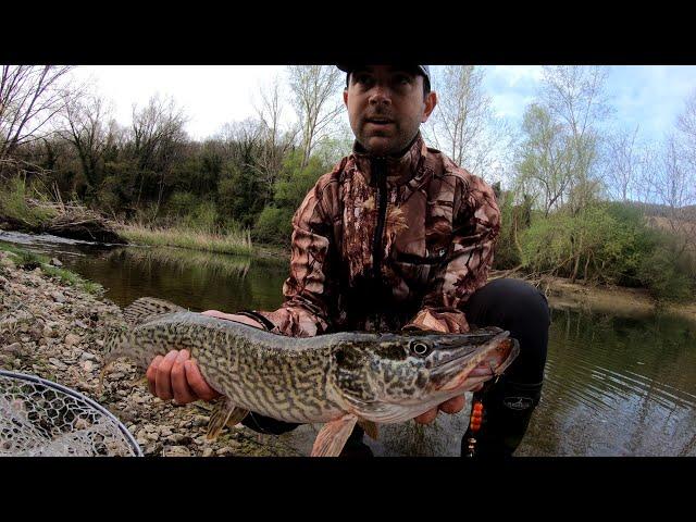 Spinning in fiume - I lucciotti della Merse