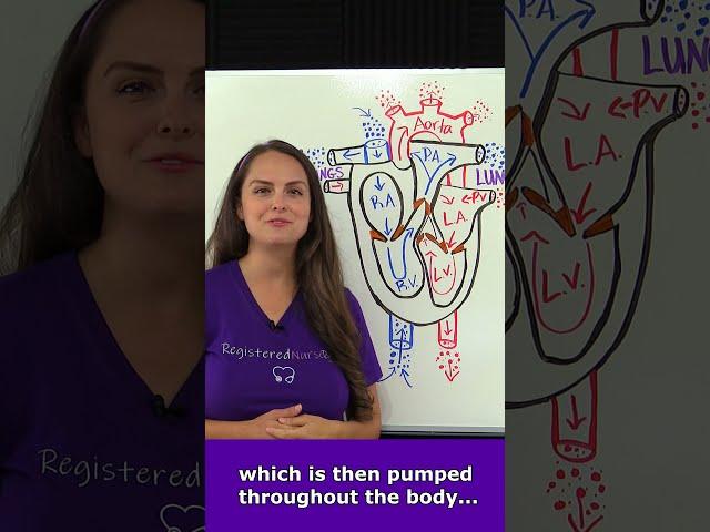 Heart Blood Flow Explained in 45 SECONDS  #shorts