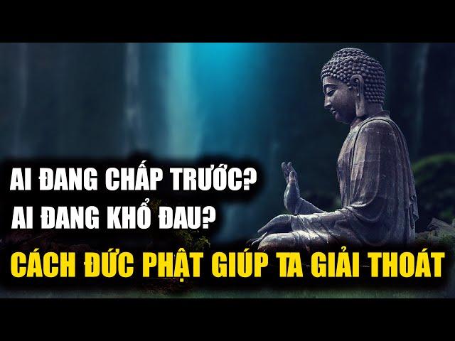 Ai đang chấp trước? Ai đang khổ đau? Cách Đức Phật giúp ta giải thoát - Vạn vật giác ngộ
