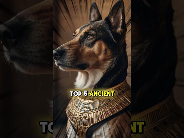 Top 5 Ancient Dog Breeds and Their Origins