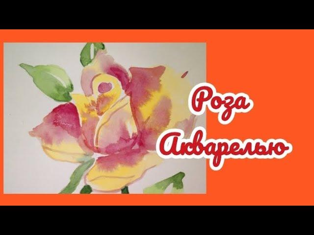 Роза акварелью/ drawing rose in watercolor #art #рисунок #акварель