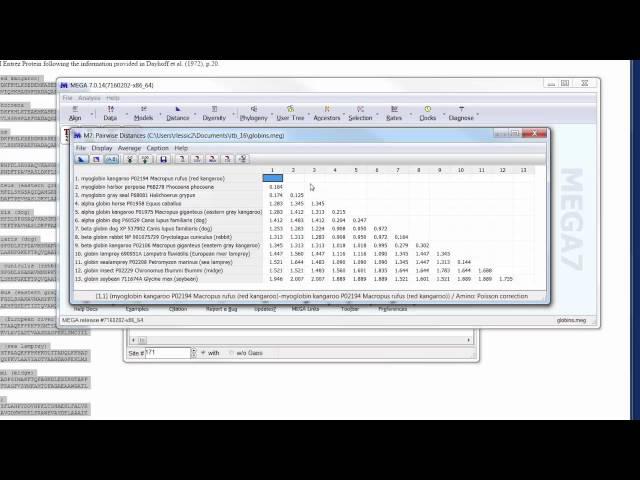 Mega Tutorial Demo
