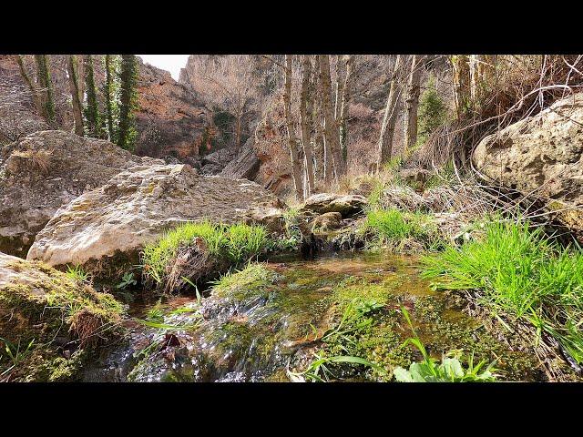 THE PEACEMAKER / SMALL RIVER IN WINTER, GENTLE WIND SOUNDS, RIVER LANDSCAPE, NATURE SOUNDS