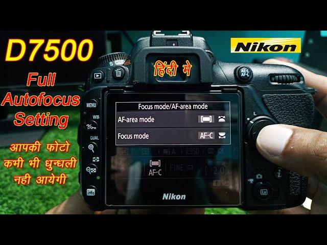 Nikon D7500 Autofocus Setting / Nikon Camera Focus Setting