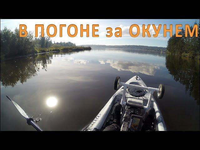 Рыбалка на Каяке на Окуней и Встреча с Орлом (Kayak Perch Fishing)