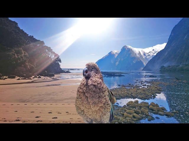 Neuseeland Gruppenreise //► AKTIV & FLEXIBEL Part II