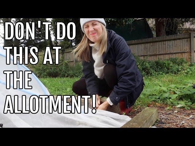 WEEDING, POTTERING AND SWEET PEA JOY! / SEPTEMBER ALLOTMENT UK