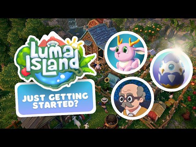 10 Beginner Tips & Tricks for Luma Island! ️ | Wish I Knew 