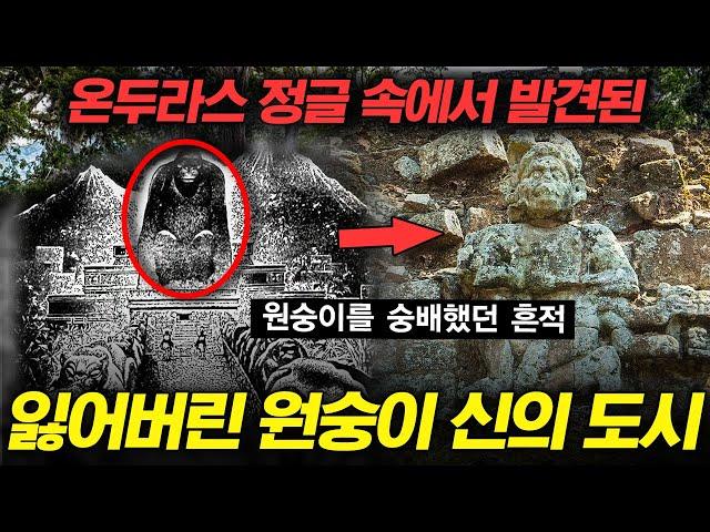 [#프리한19] (90분) 인디아나 존스 실사판?? 전설로 여겨졌으나 실제로 존재했던 이곳!