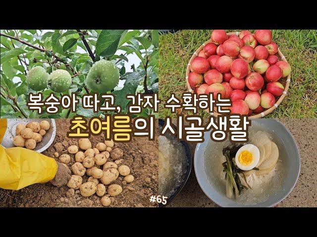 sub)Harvest in early summer, fruits&vegies, planting seedlings, dongchimi noodles, potato pancake