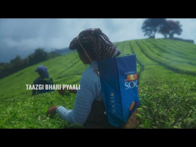 "Taazgi Bhari Pyaali Society Waali" - Society Tea’s new campaign is all about Freshness.