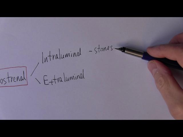 Acute Kidney Injury 5, Postrenal causes of AKI mind map