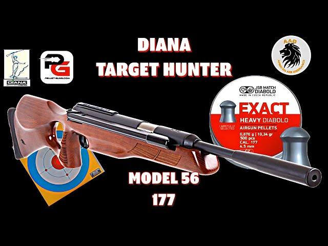 Diana Target Hunter Model 56 in 177 Test at 35 yards with JSB 10.34gn pellets