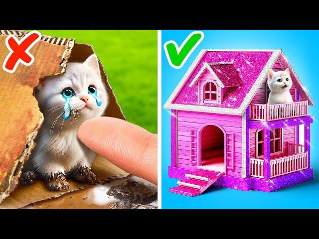 OMG!  I Built A Secret Room For My Kitten In A Dollhouse