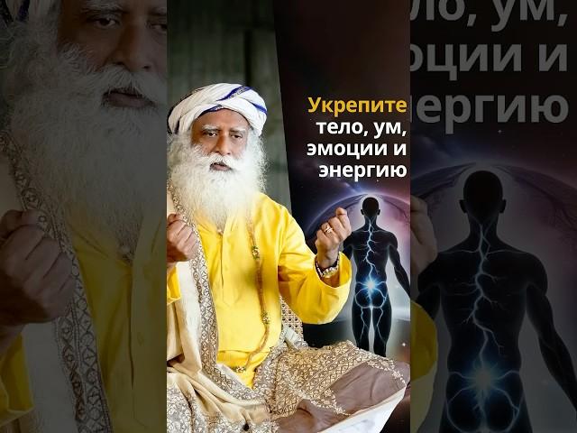 Первозданная алхимия: путь к себе через пять элементов
