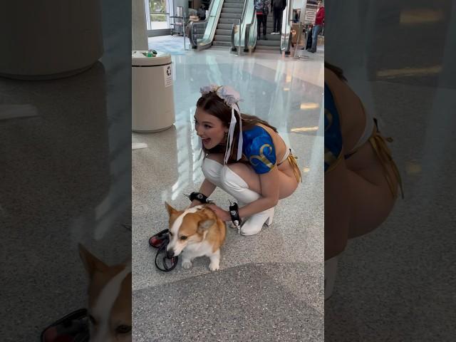 Hanging out with Scooter at Wondercon #cute #dog #cosplay #doggie #fun #rachelpizzolato #cosplayer