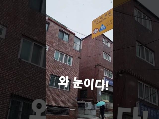 학교 가다가 눈와서 찍음 #학교 #상숭심강 #눈