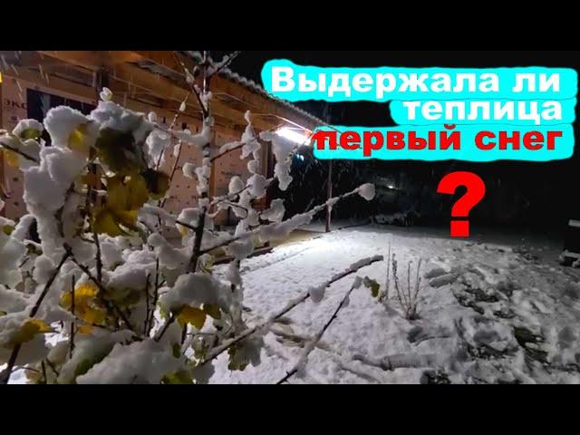 #232 Первый снег: что стало с теплицей?