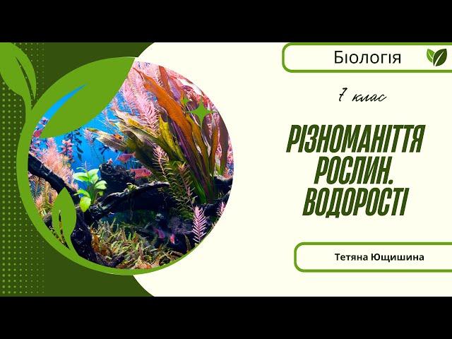 Урок 16. Різноманіття рослин. Водорості. 7 клас. НУШ