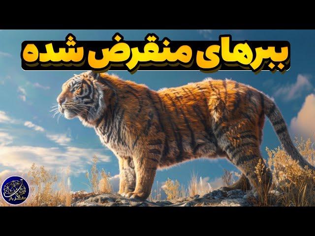 چرا ببر مازندران منقرض شد؟ | ببرهای باشکوه منقرض شده در تاریخ