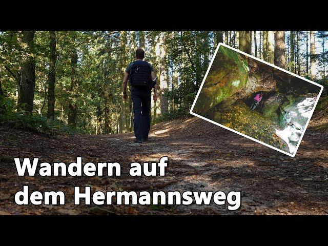 Wanderung mit meinen Kindern auf dem Hermannsweg | #matthiasrammes