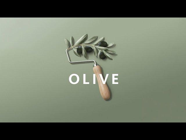 Trendfarbe 2024: Die SCHÖNER WOHNEN Trendfarbe Olive | Ein erdiger Grünton