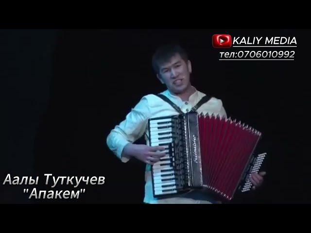 Аалы Туткучев "Апакем" аккардеондун коштоосунда