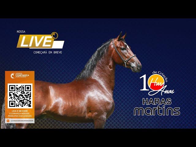 Live de Criação - Haras Martins