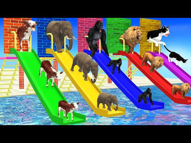 Don’t Break The Wrong Wall with LONG SLIDE Elephant, Cow, Lion, Gorilla, Cat Wild Animals Cage Game