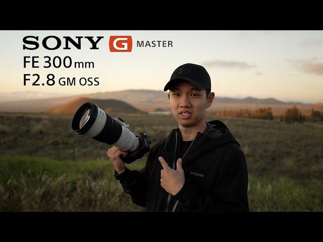 The PERFECT Wildlife Photography Setup? Sony 300mm GM Review + Teleconverters