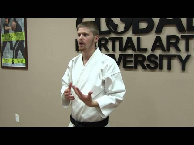 Learn and Earn Rank in Shotokan Karate at Home