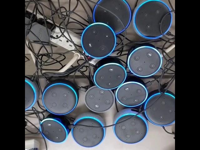 Alexa farts on multiple echos