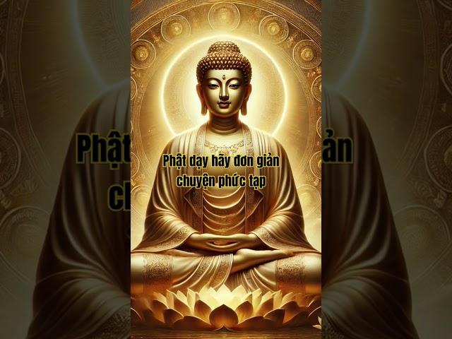 Phật dạy hãy đơn giản chuyện phức tạp #phậtdạy #phatdayconlamtheo #phatdaydieuhay #phatday #phatphap