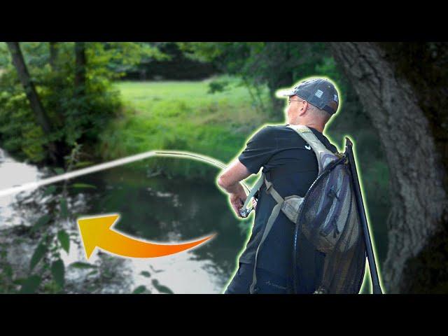 Late Summer Fishing For Sea Run Brown - Big Fish Attacks The Spinner!