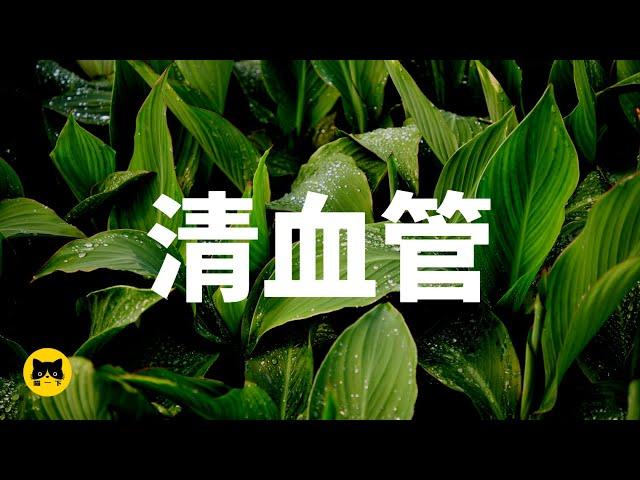 糖尿病健康必須要吃的食物，清血管必吃的食物 | 喵一下 youtube 視頻