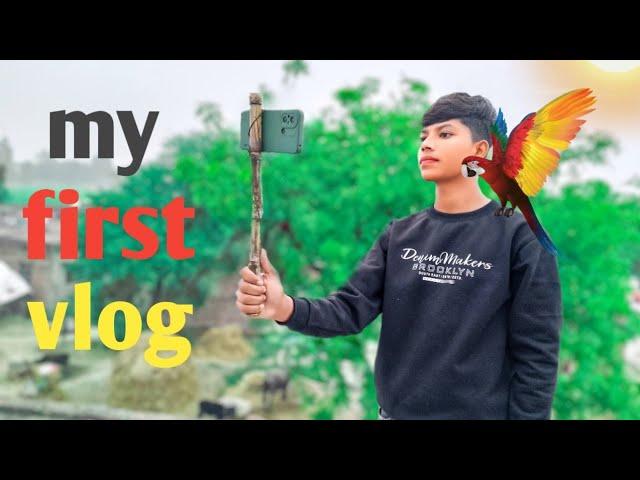 my first vlog || my first blog || pavan village vlog 6