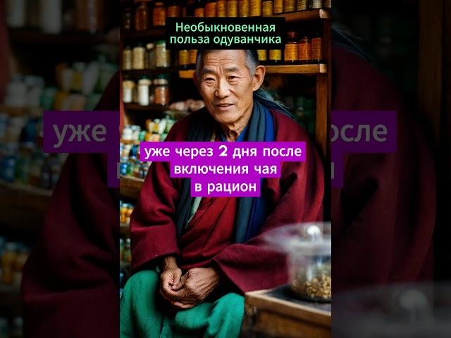 Необыкновенная польза одуванчика!  #здоровье #рецепты