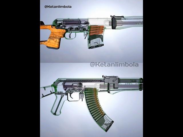 Dragunov x AK-47