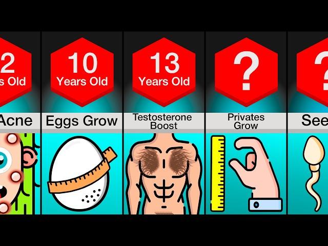 Timeline: Male Puberty