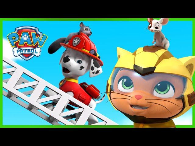 PAW Patrol and Cat Pack Save the Day and more! - PAW Patrol - Cartoons for Kids Compilation