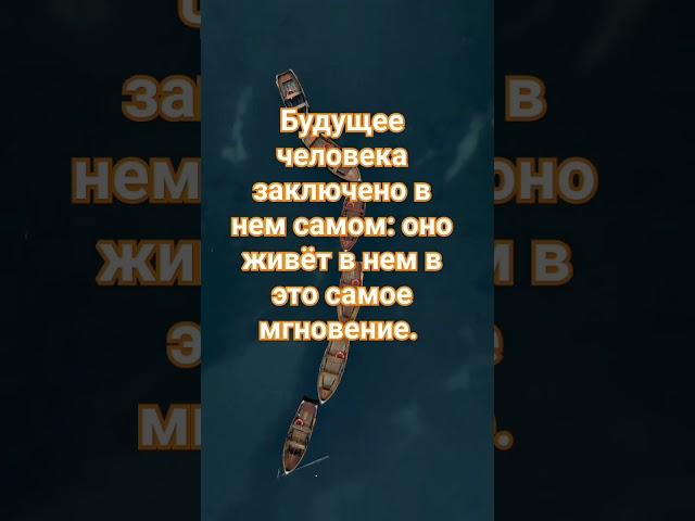 #жизнь #правда #motivation #цитаты #успех
