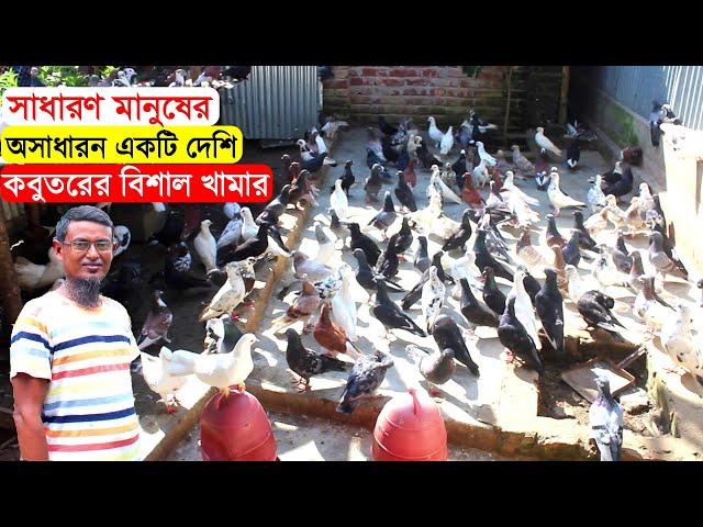 অল্প খরচে সম্পূর্ণ ঝুড়িতে অসাধারন একটি দেশি কবুতরের বিশাল খামার | কবুতর পালন পদ্ধতি | BD Pigeon Farm